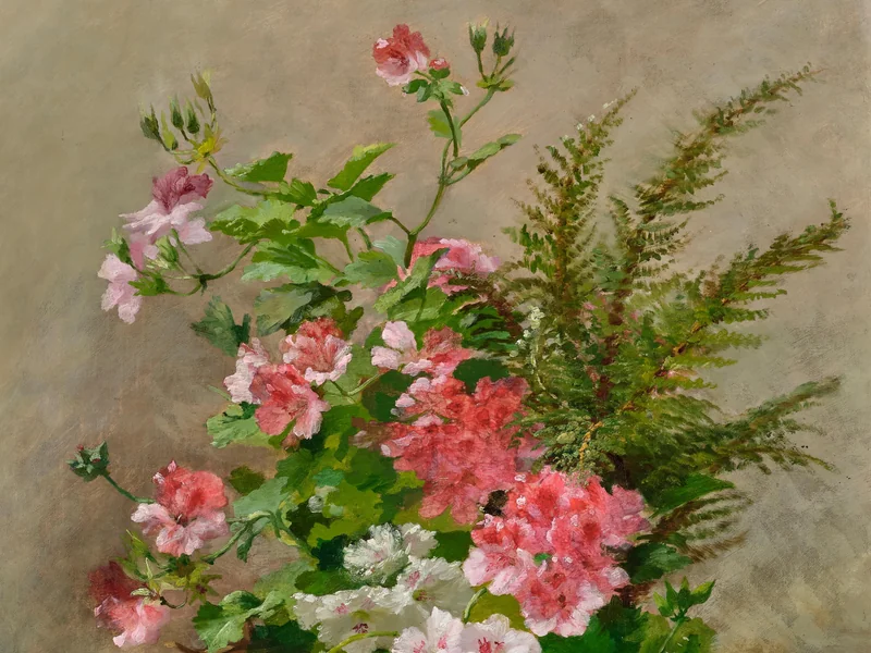 1845-Caroline Bouffay - Natura morta con gerani, 1886